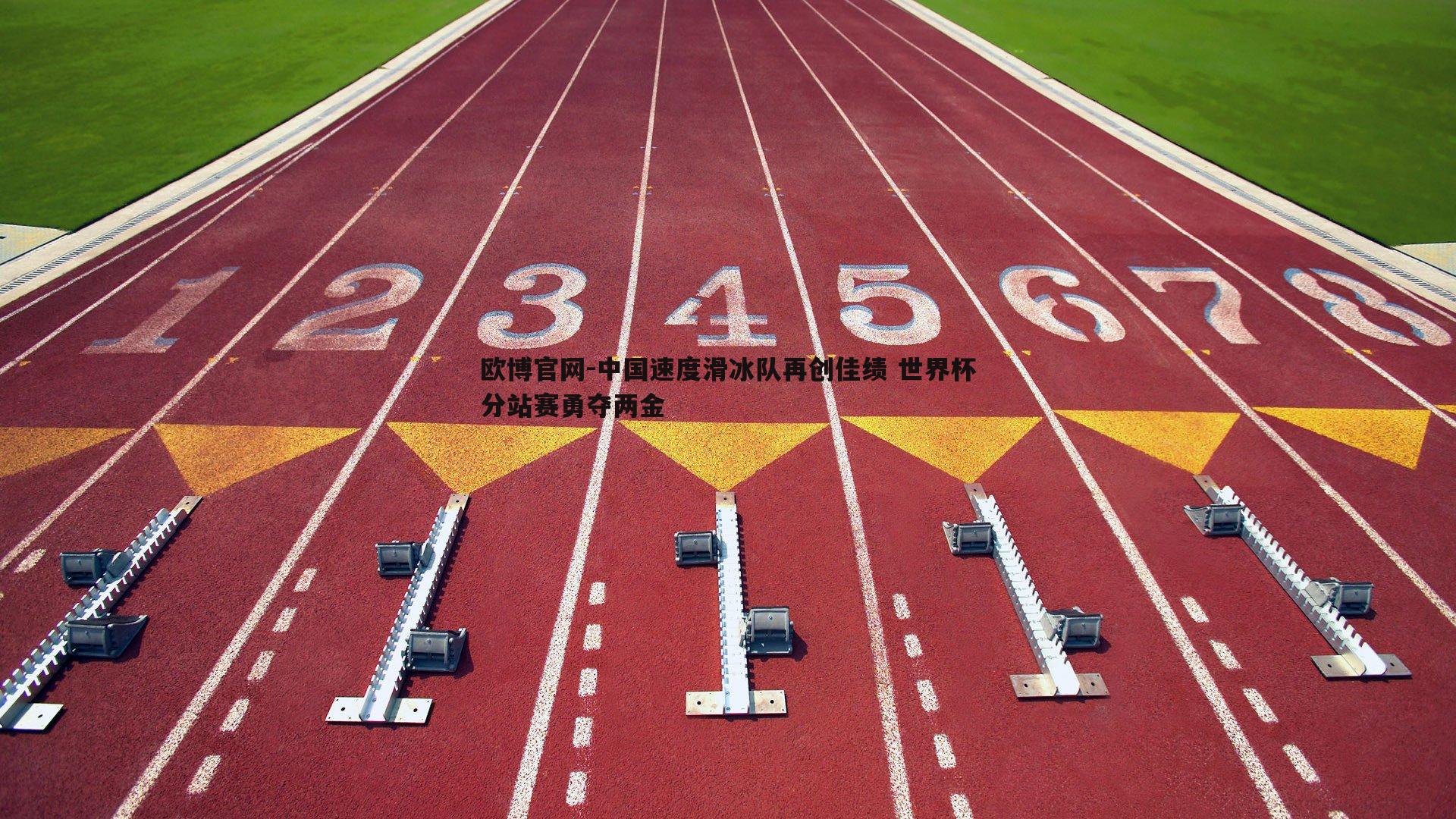 中国速度滑冰队再创佳绩 世界杯分站赛勇夺两金